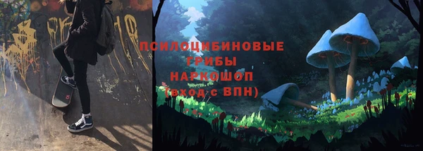 индика Краснотурьинск