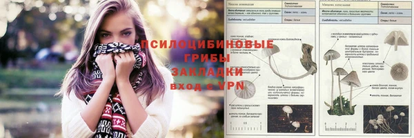 а пвп мука Краснослободск