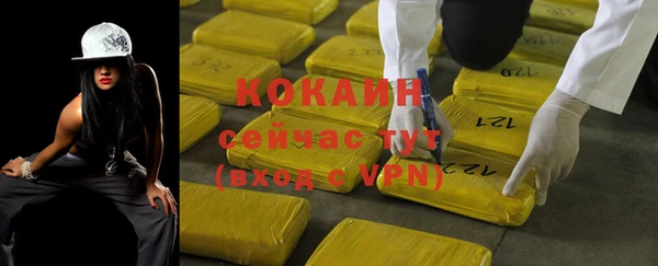 индика Краснотурьинск
