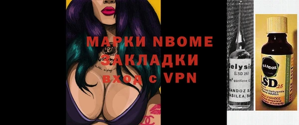 индика Краснотурьинск