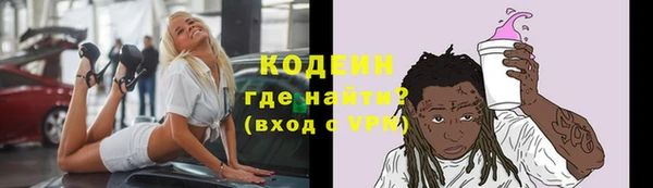 индика Краснотурьинск
