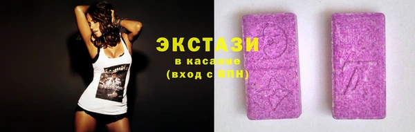 индика Краснотурьинск