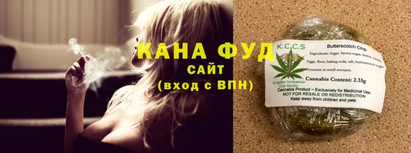 индика Краснотурьинск