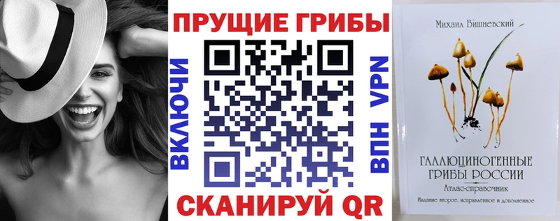 Галлюциногенные грибы прущие грибы  Купить где  Северобайкальск 