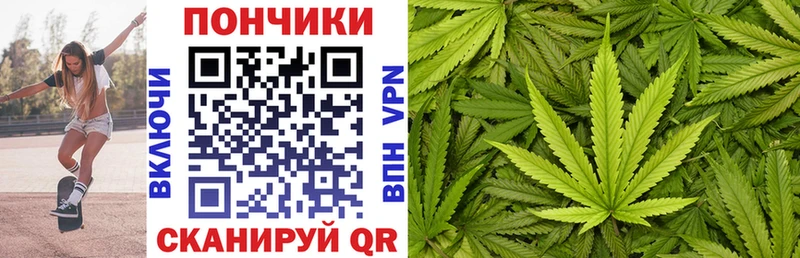 Купить закладки  Северобайкальск  Конопля SATIVA & INDICA 